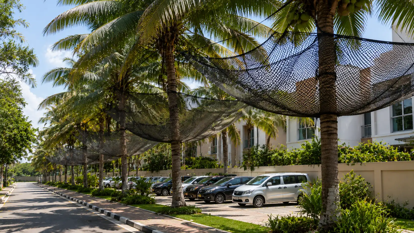 Coconut Safety Nets
