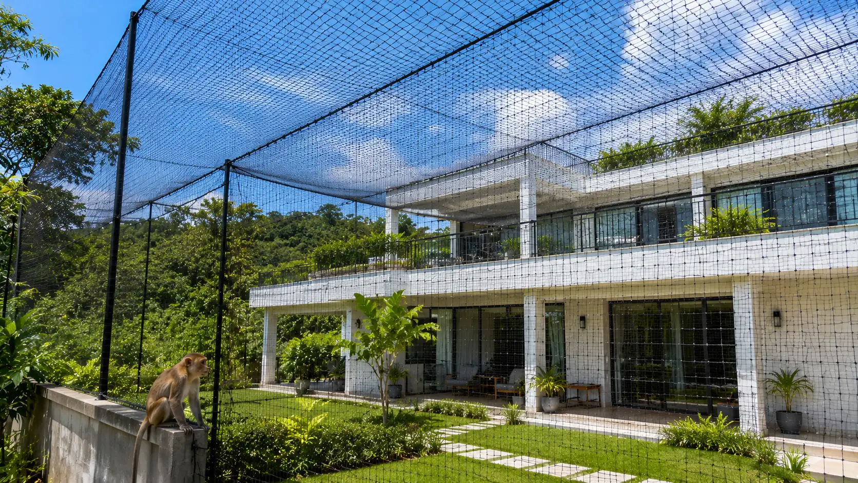 Monkey Safety Nets
